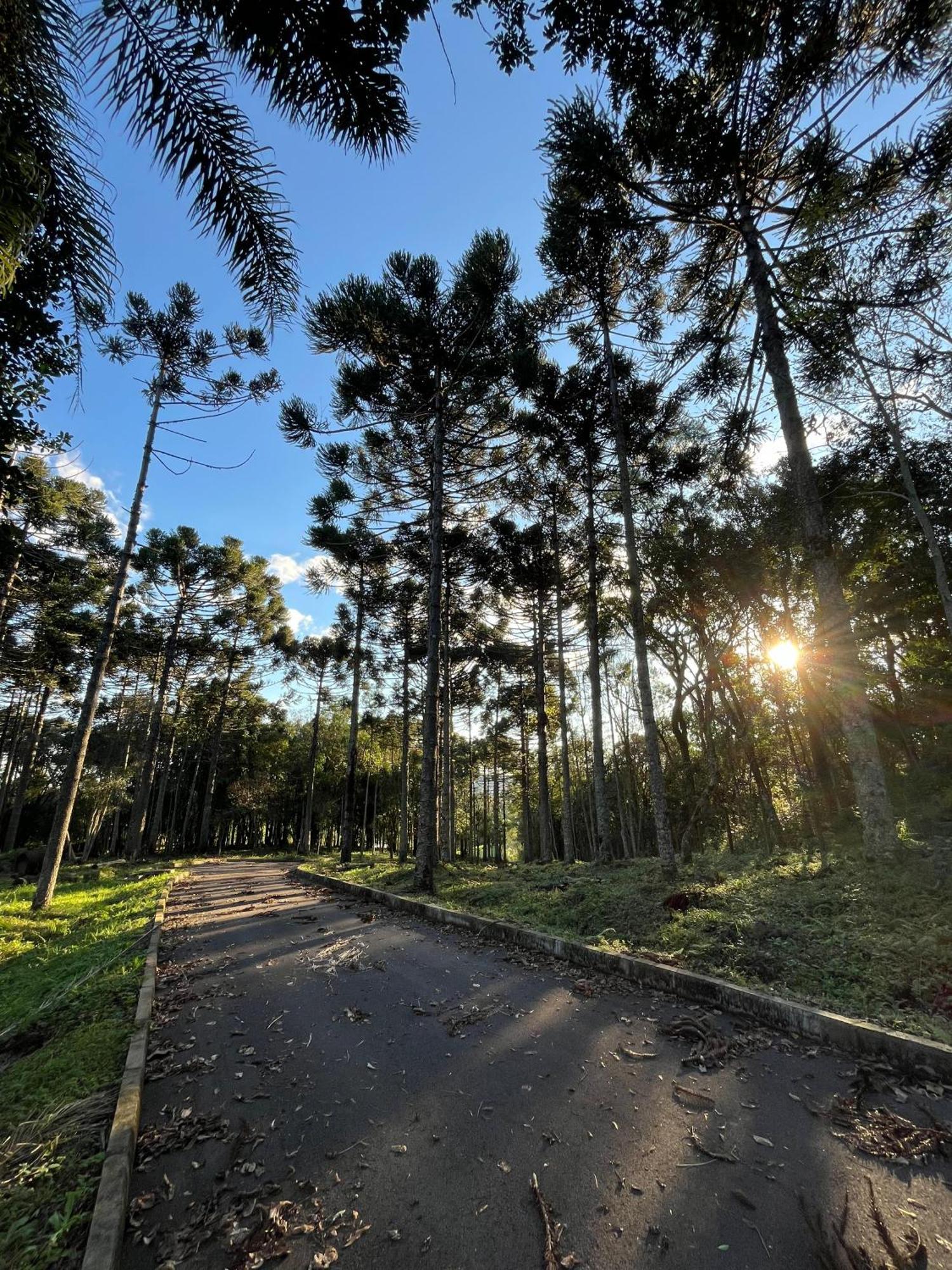Ville Del Bosco Hotel Sao Marcos Ngoại thất bức ảnh